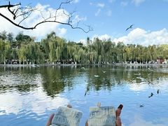 -昆明冠生园·蛋糕·面包(南强街店)