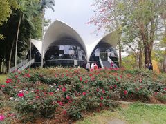 -人民公园(罗湖区)