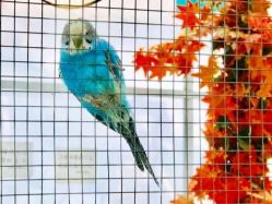 -萌宠亲子动物乐园(槐房万达店)