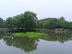 -西溪国家湿地公园