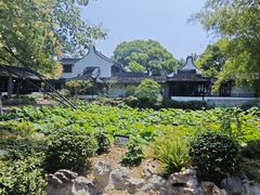 -上海醉白池公园