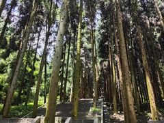 -娄山关景区