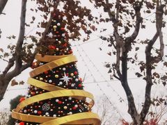 -碧云国际社区·晓园