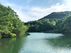 -白马涧龙池景区