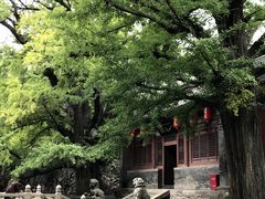 -晋祠公园