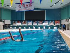 -重庆市奥林匹克体育中心-游泳跳水馆