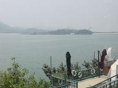 -望湖烤鱼