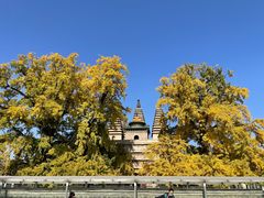 -北京石刻艺术博物馆(五塔寺)