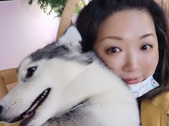 -Husky Go! 哈士奇体验馆·宠物咖啡厅狗咖