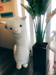 -V Beautique妆颜美学体验馆