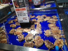 水产区-盒马鲜生(新都心店)
