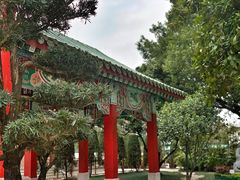 -广东圆玄道观
