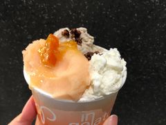 榛子Hazelnut-Dip in Gelato(富民路店)
