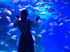 -成都浩海立方海洋公园