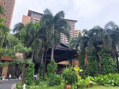 -三亚湾红树林度假世界(木棉酒店)