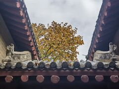 -康百万庄园