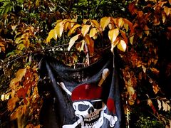 -爱啤精酿·民谣酒馆(滨江店)