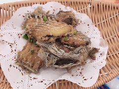 -洲晓鲜·舟山海鲜大排档(朱家尖风景区店)