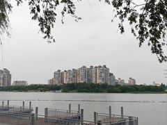 -金银湖国家城市湿地公园