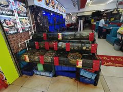-鑫鸿达·海鲜闽菜热炒小馆(中山路店)