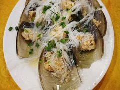 -鸿达渔港