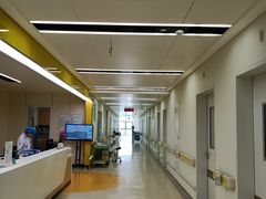 -深圳大学总医院