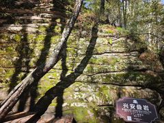 -汤旺河林海奇石景区