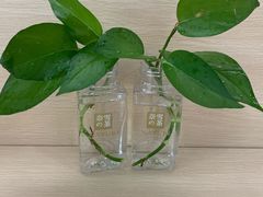 -奈雪的茶(领展中心城店)