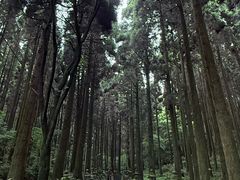 -上色见熊野座神社