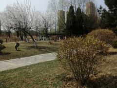 -前关湿地公园