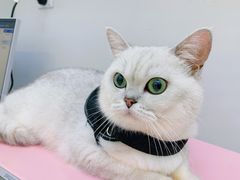 -拜鲁耶动物诊疗中心·宠家动物医院