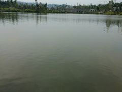 -枫香湖儿童公园