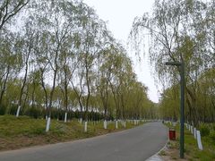 -东郊湿地公园