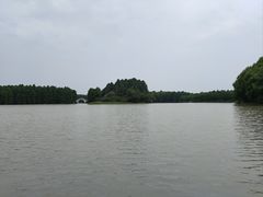 -上海海湾国家森林公园