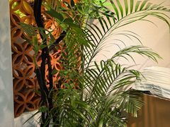 -沐森 •疗愈头疗馆(打浦桥店)