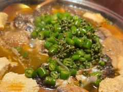 -探鱼·鲜青椒爽麻烤鱼(正佳广场店)