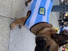 -万达广场(南京江宁店)