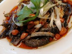 -生宇山珍野生菌汤锅•始于1999(双流古塔店)