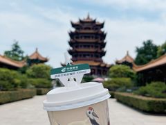 -黄鹤楼公园(黄鹤楼)