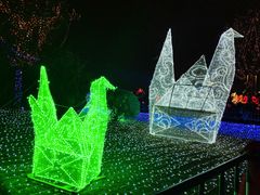 -飞凤山奥体公园