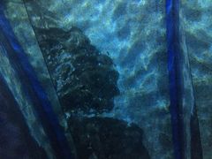 -暹罗海洋世界