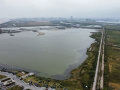 -南汇嘴观海公园