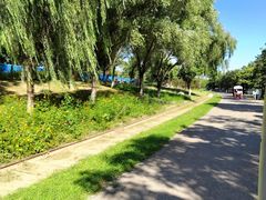 -永定河休闲森林公园