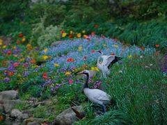 -上海共青森林公园