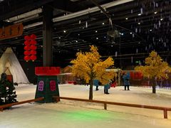 -宁波冰雪大世界(北仑区)