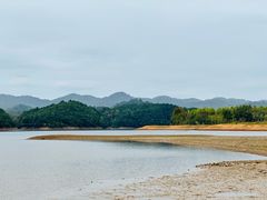 -江西景德镇玉田湖国家湿地公园