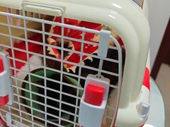 -守诺宠物医院·眼科· 特色牙科·异宠专科(虹口店)
