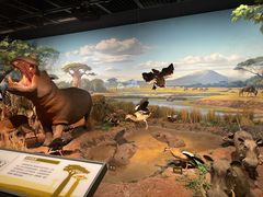 -陕西自然博物馆