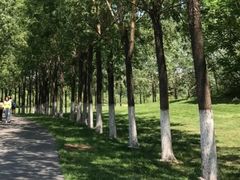 -长白岛森林公园