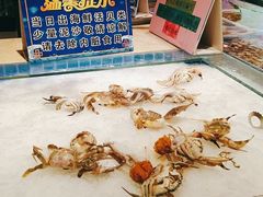 -万象·复兴号鲜肉烤肉海鲜自助(升级店)